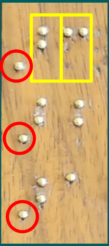 Resalte antepuesto números reverso astronógrafo mejorado. CC BY SA NC JC Asensi